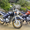 Part Katalog Yamaha : Katalog -Pricelist Part Yamaha SCORPIO-Z / Yamaha parts house is owned and operated by babbitt's online.