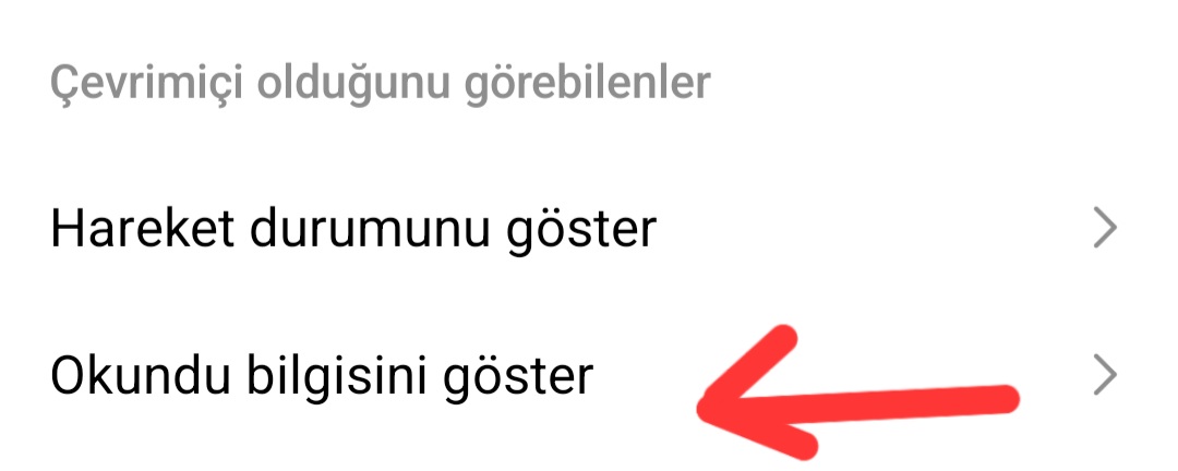 İnstagram okundu bilgisini gösterme butonu