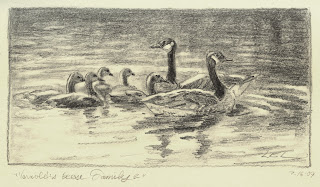 Graphite Drawing of Geese by Lori Levin