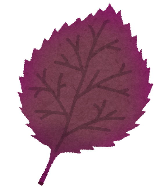 紫のシソの葉のイラスト かわいいフリー素材集 いらすとや