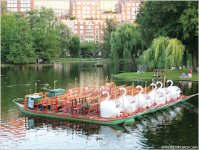 Boston Swan Boats