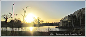 winter sunshine, The Glasshouse RHS Wisley