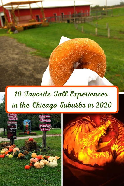 10 Favorite Fall Experiences in the Chicago Suburbs in 2020