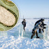 Επιστήμονες «ξύπνησαν» έπειτα από 48.000 χρόνια «ιούς-ζόμπι» από τους πάγους της Σιβηρίας