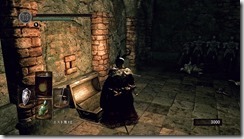 DARKSOULS 2016-08-07 16-30-39-53