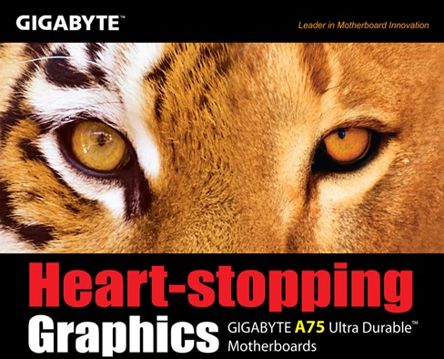 A75_ad_0621_chart