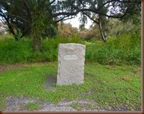 DSCN2115
