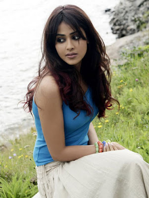  Genelia D'Souza new hot and sexy wallpapers