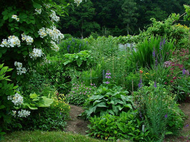 De tuin in mei