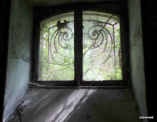 urbex-alsace-manoir-chateau-lumiere-verriere-toits-sous-sols-jpg