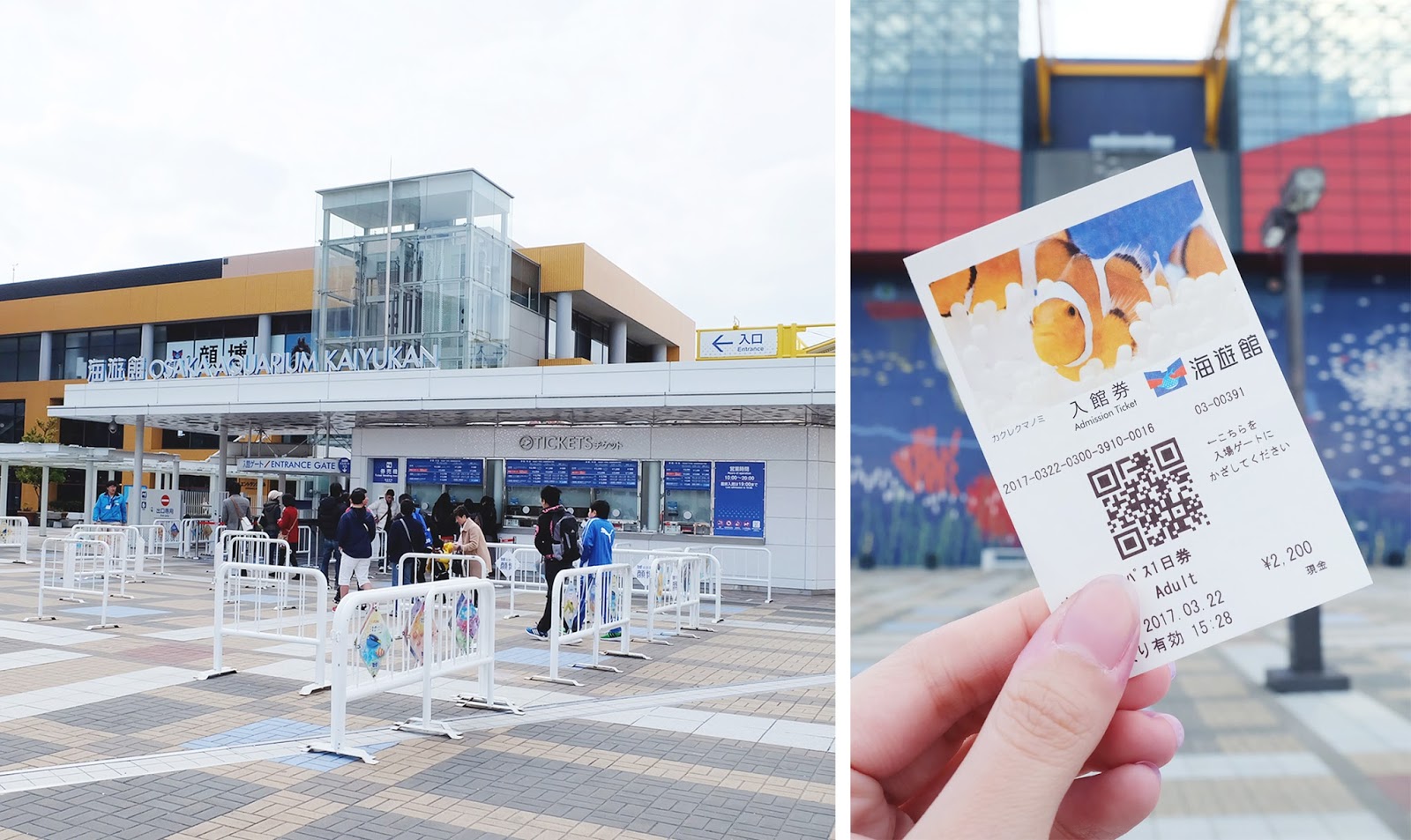 Osaka Aquarium Kaiyukan Tickets | www.bigdreamerblog.com