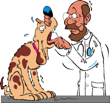 veterinario002