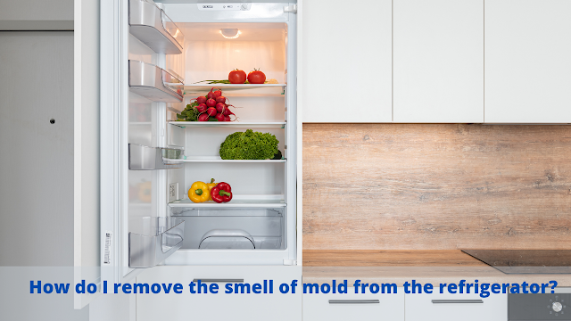 How do I remove the smell of mold from the refrigerator