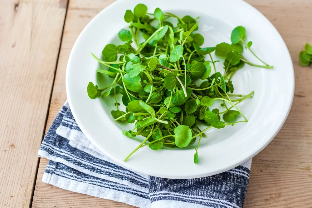 Chestnut Mushroom And Watercress Stroganoff With Giant Wild Rice