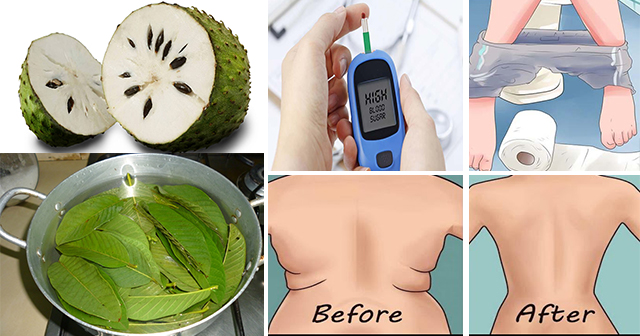 Ang Halamang Gamot na ito ay may Kakayahang Pagalingin ang Diabetes, Highblood Sugar, U.T.I, at maging sa Pagpapapayat ay mabisa ito.