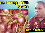 KPK Kembali Dalami Kasus Bibit Bawang Merah di Malaka, Sejumlah Pejabat ini Akan Diperiksa Lagi