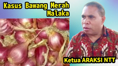 KPK Kembali Dalami Kasus Bibit Bawang Merah di Malaka, Sejumlah Pejabat ini Akan Diperiksa Lagi