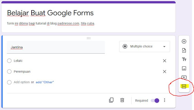 cara tambah seksyen dalam google forms