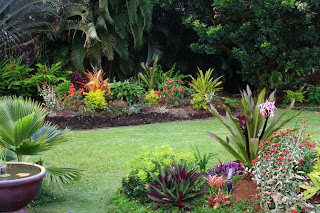 Tropical Backyard Garden