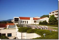IMG_0481 IMG_0481