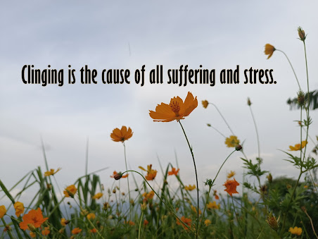 Clinging is the cause of all suffering and stress.