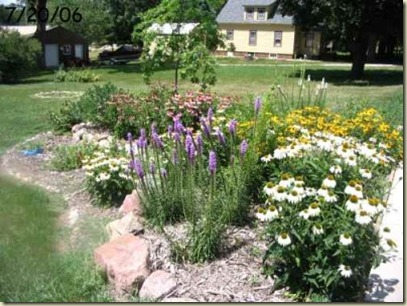 rain_garden2