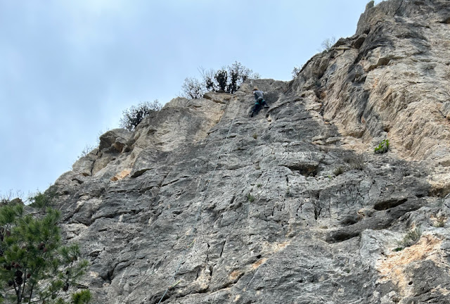 Tati en Estilo Al-Pino 6a