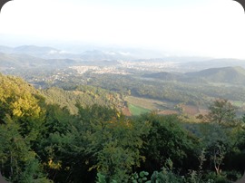 DSC04446