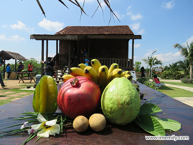 Selangor Fruit Valley, Rawang