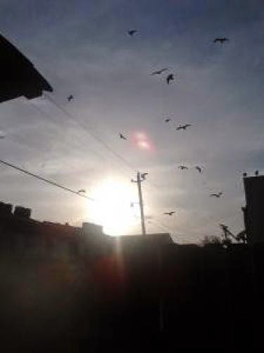Citizen Ufo Pictures Latest Mufon Reports