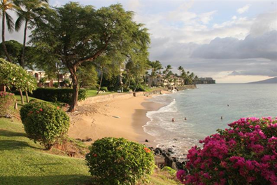 Maui Real Estate - Maui Luxury Team: June 2024 Properties - Part 1