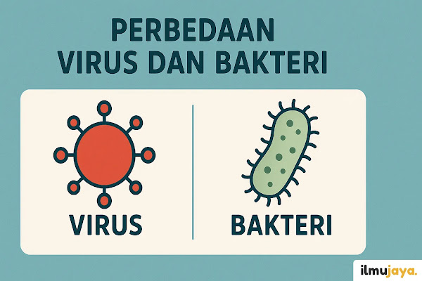 perbedaan virus dan bakteri