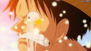 ワンピース アニメ 312話 ルフィ ゴーイングメリー号 別れ 最後 炎上 | ONE PIECE Episode 312 Going Merry