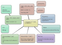 The role of CTLA -in the regulation of T cell immune