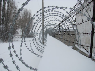 barbed wire