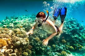 lặn biển ở đảo Pangkor 2