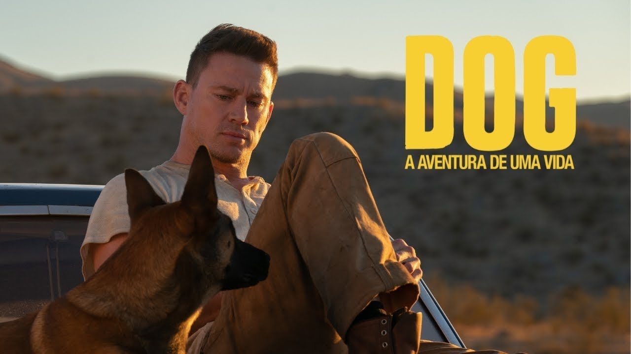 Dog - A Aventura de Uma Vida (2022) Torrent