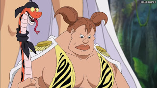 ワンピースアニメ 女ヶ島編 408話 スイトピー | ONE PIECE Episode 408