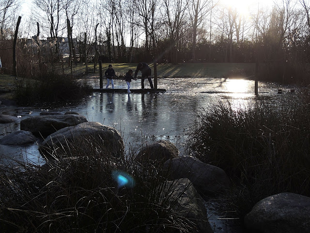 Deurne: Op de bremweide: ijs en een winterzonnetje