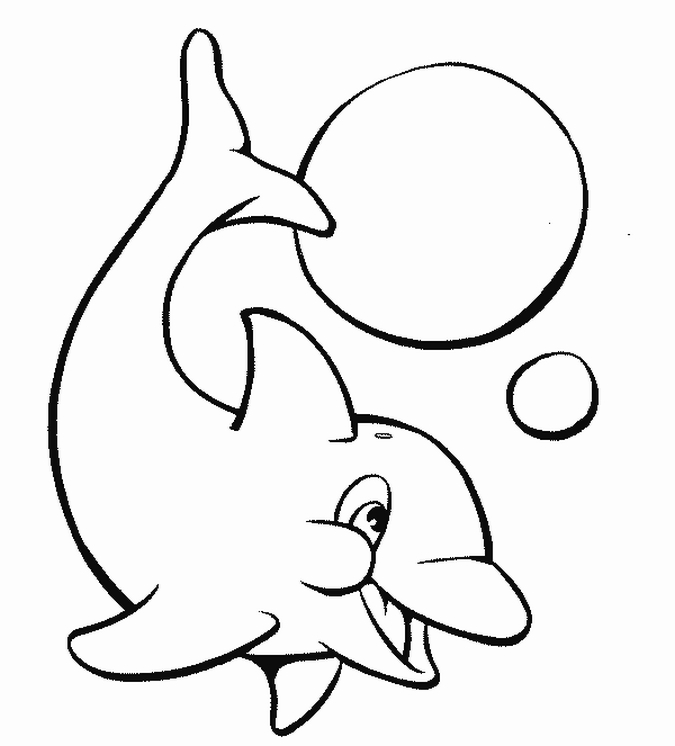 Dolphin Coloring Sheet 3