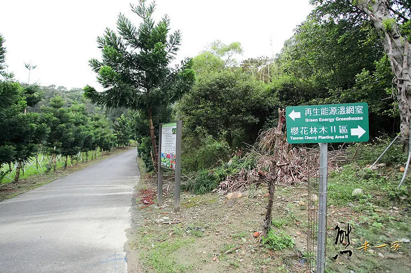 三峽私房景點櫻花林 樹木銀行｜三峽碳中和樂園