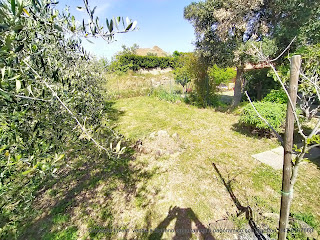 Grosseto Invest Immobiliare - vende: appartamento 150m² commerciali panoramico e con giardino a Buriano