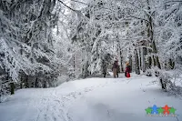 Przyjemna pętla na Błatnią w Beskidzie Śląskim, oferuje zarówno ładne widoki, wędrówki przez długie hale, jak również odpoczynek w schronisku.