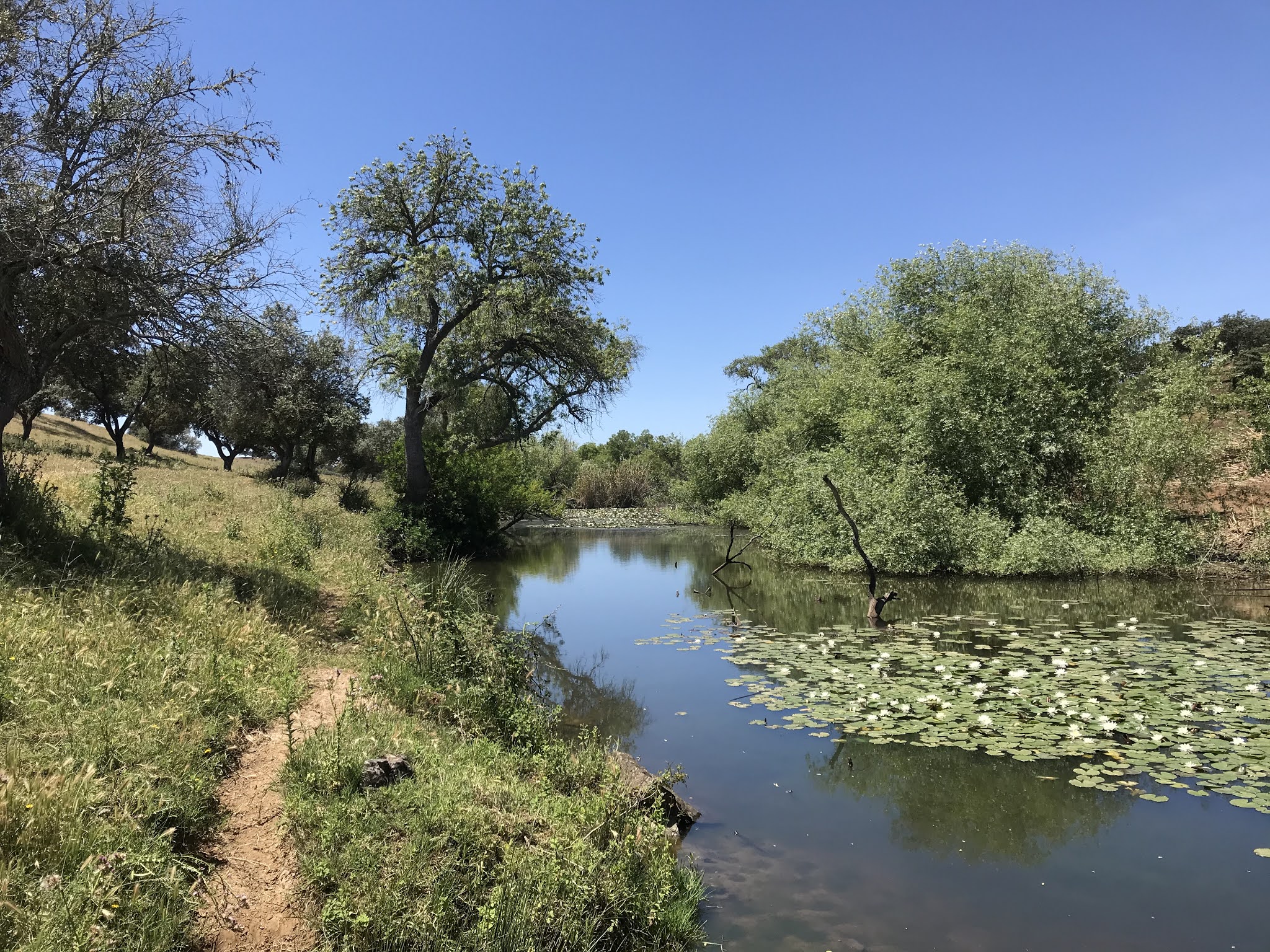 PR2 FAL, Rota da Água, Percurso Pedestre, Barragem de Odivelas, Alentejo, Ferreira, Portugal, Outdoors, Trekking