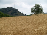 La capella de Sant Andreu des dels camps del Serrat de Bussanya