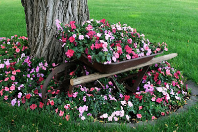 arrinho de mão no jardim com flores- reciclagem