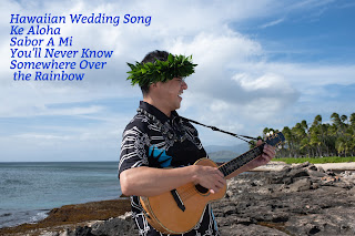 Hawaiian Musician