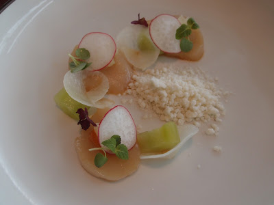 Orkney Islands Scallop Ceviche