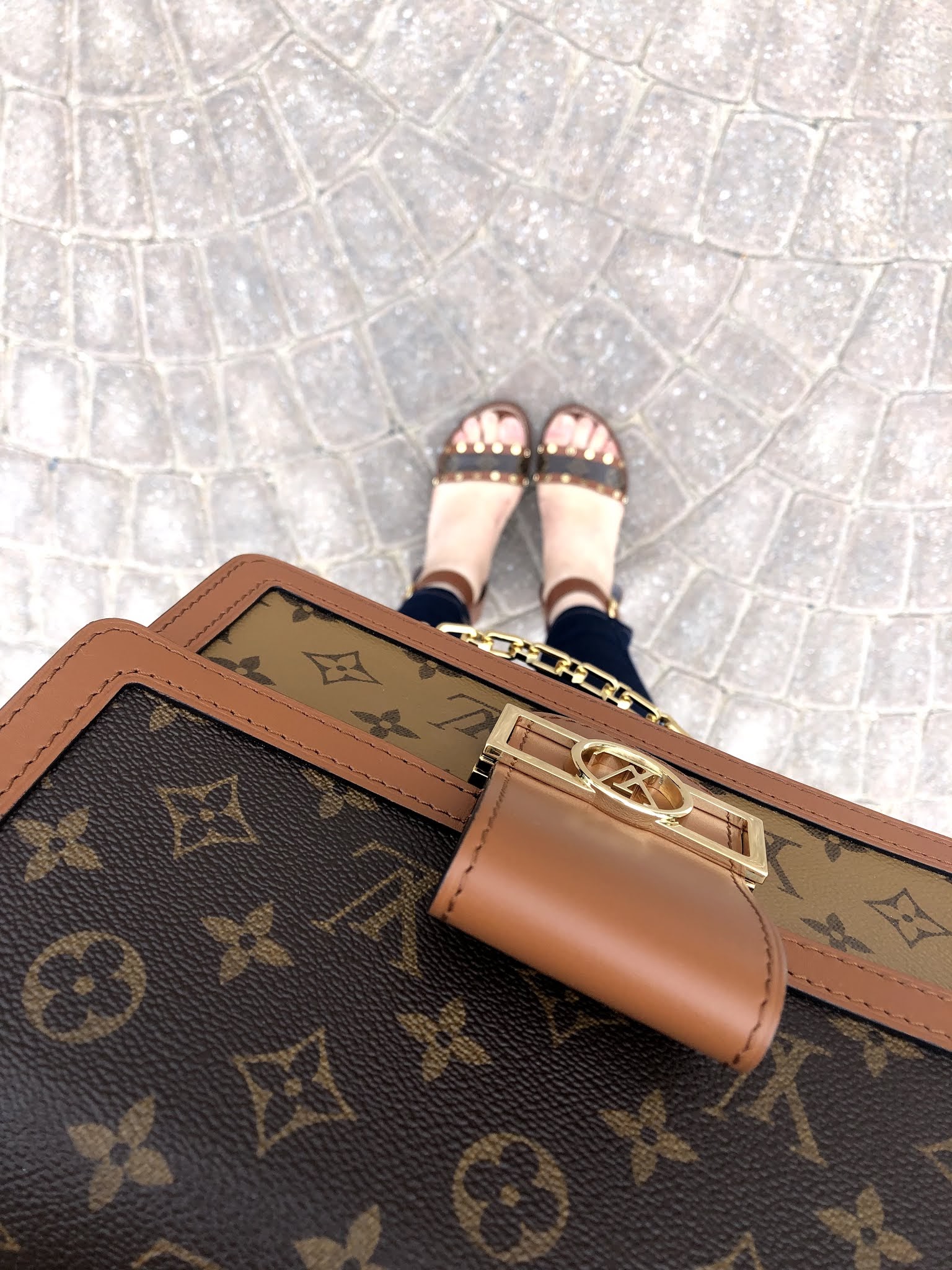 Louis Vuitton Dauphine MM handbag mod shot
