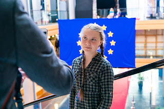 La Constituante n'a pas attendu Greta Thunberg pour adopter un article sur le climat